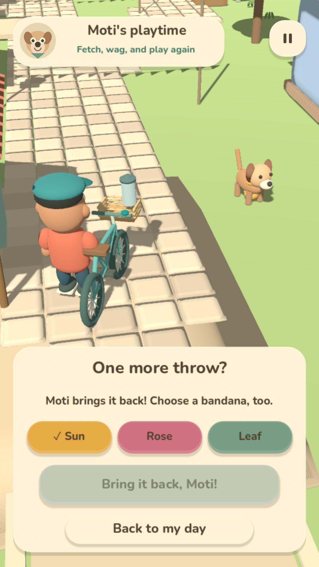 Moti's playtime: the courier plays fetch with Moti and picks a bandana for him.